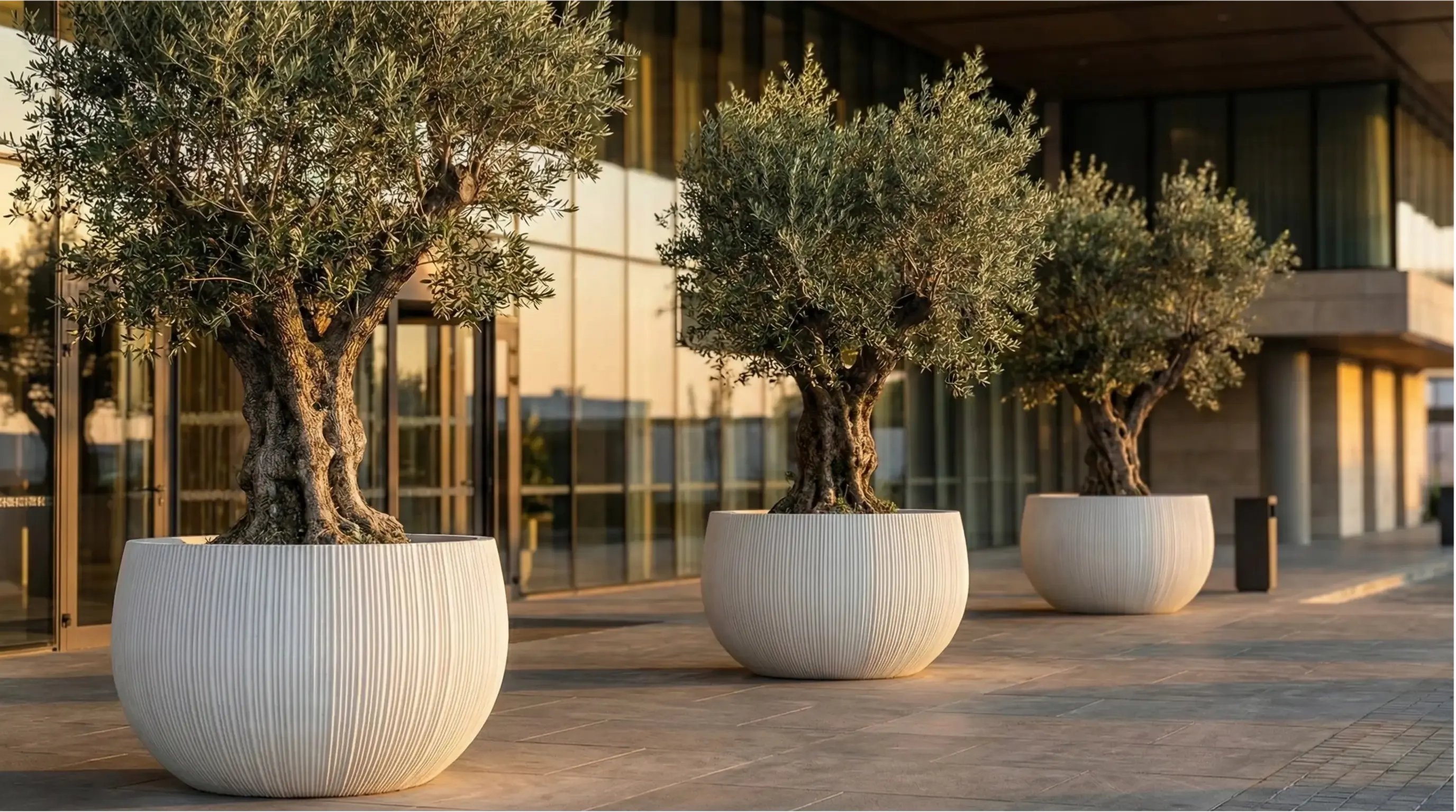 Monumental Large Concrete Planters with GRC Technology at a Luxury Hotel Entrance